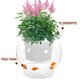 thumbnail image 3 of BESTYASH Maceta Automática De Plástico Transparente Con De Peces Para Plantas Y En Casa, 3 of 8