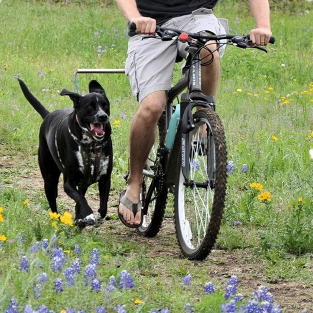 Bicylce Exerciser Leash Attachment Dog Bike Leash for Dog Traction Belt with Spring Stainless Steel Traction Rope