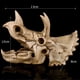 thumbnail image 4 of Modelo de Resina Soledad Cabeza de Cráneo de Tres Cuernos, 4 of 9