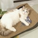 thumbnail image 4 of Cartoons Catss Dog Shaped Toy Gnaw Resistance Puplasticsy Toy Catss Self Funny Grinding Teeth Cleaning Interactive Toy, 4 of 5