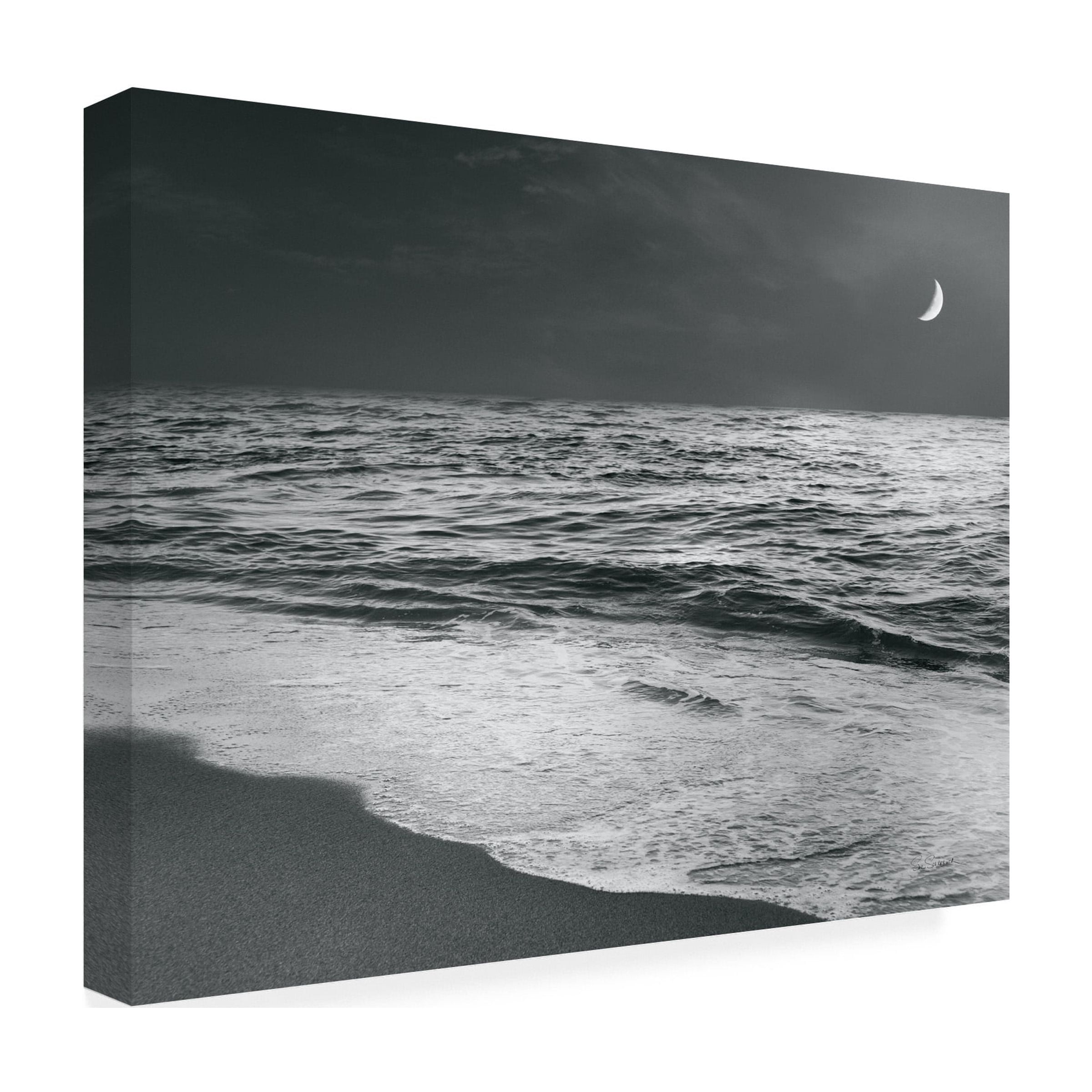 Sue Schlabach 'Moonrise Beach Black And White' Canvas Art