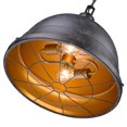 thumbnail image 5 of Golden Lighting Bartlett 2-light Pendant in Black Patina, 5 of 5