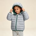 thumbnail image 6 of Xdegoge Toddler Girls Lightweight Puffer Jacket Hooded Zip Up Winter Coat Packable Warm Quilted Outerwear Wind Resistant Fall Winter Basic Padded Coats, 6 of 8