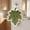 76#White, variant on Understated Towel 13.3 x 29.1 Inch Soft Absorbent Bath Towel 2 Colors Fast Dry, Ideal Hand Towel for Bathrooms Kitchens Gyms, Lightweight Quick Drying Summer Must Have Towel