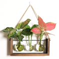 thumbnail image 1 of Florero hidropónico con marco de madera, 1 of 5