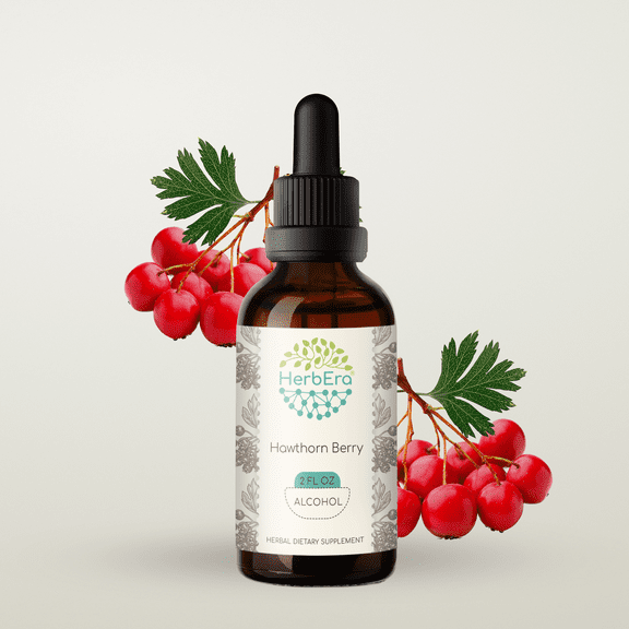 Hawthorn Berry Alcohol Herbal Extract Tincture, Super-Concentrated Organic (Crataegus spp.) Dried Berry 2 oz