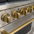 thumbnail image 6 of Akicon 48" Slide-in Freestanding Professional Style Gas Range with 6.7 Cu. Ft. Oven, 8 Burners, Convection Fan, Cast Iron Grates, & Blue Porcelain Oven Interior, In Stainless Steel with Gold, 6 of 6