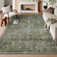 thumbnail image 1 of Alfombra Lahome verde vintage floral de 240 x 300 cm para sala de estar, 1 of 9