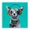 Jammin Pup Listening, variant on Stupell Industries Cottage Jammin' Pup on Pink Black Framed Print Under Glass, 13 x 13, by Lorenzo Collective