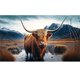 thumbnail image 1 of Pintura de diamante 5D DIY Kit de yak de taladro redondo completo Decoración del hogar Artesanía(4) Hugtrwg Para estrenar, 1 of 9