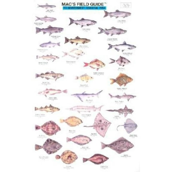 Northwestern Coastal Fish