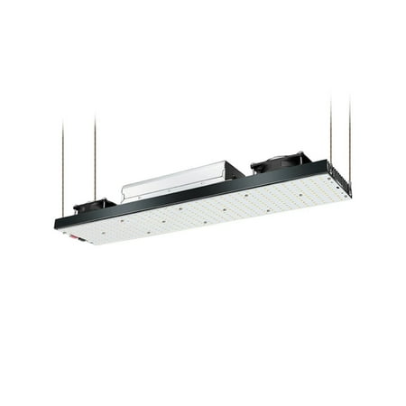 

LM561C S6 Dimmable LED Growing Lamp SMD LED Grow Light Full Spectrum Growing Lamp Indoor Plant Growth Panel Lighting -------- High Efficiency
