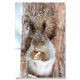 thumbnail image 3 of Pósteres de paisajes de bosque invernal, impresiones de Navidad, abeto, pino, reno, alce, lienzo, pintura, arte de pared, decoración, 3 of 5
