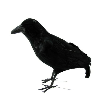Black Lifesize Fake Crow Hunting Decoy Raven Halloween Accessory Movie Prop