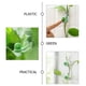 thumbnail image 3 of WASHWEPE 50Ud Clips De Pared Para Plantas Soporte Para Enredaderas Material Plástico Y Resistente, 3 of 8