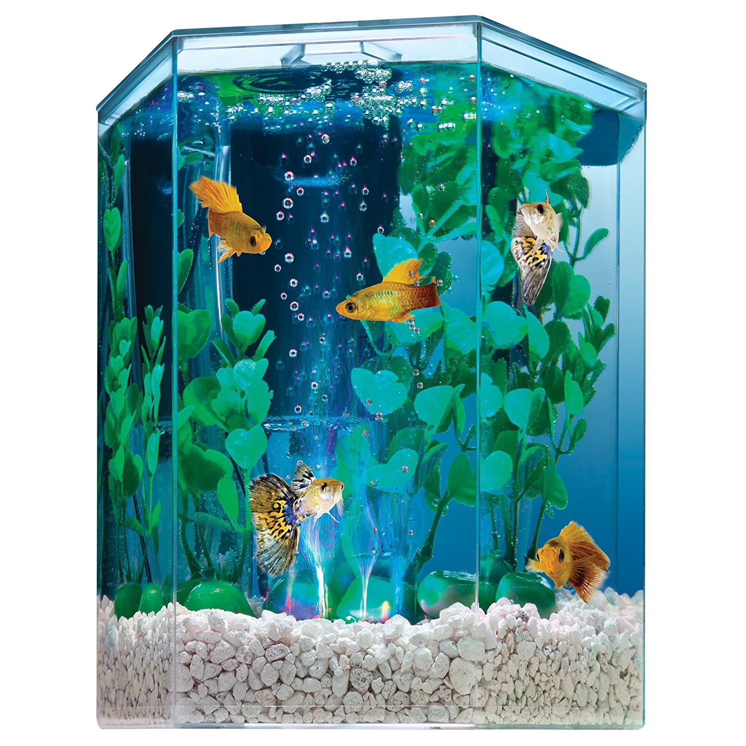 Tetra Bubbling LED Aquarium Kit 1 Gallon, Hexagon Shape, with Color-Changing Light Disc, Acrylic - image 2 of 5