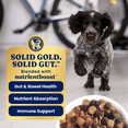 thumbnail image 6 of Solid Gold Nutrientboost Love at First Bark Chicken Dry Dog Food for Puppies, 22lb, 6 of 6