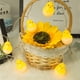 thumbnail image 4 of Lámpara de gallina amarilla decoración de Pascua, Lámpara de huevo eclosión de cadena LED cálida, decoración de Pascua de cadena de batería, cadena de luces de Pascua, luces decorativas de, 4 of 9