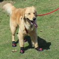 thumbnail image 3 of 4 juegos de botas para perros, zapatos para perros impermeables, botas para perros con suelas antideslizantes reforzadas por velcro reflectante y zapatos para perros al aire libre antideslizantes, 3 of 5