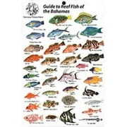 Guide to Reef Fish Bahamas ID Card Travel 6x9 B205