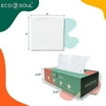 ECO SOUL 100 Compostable Bamboo Facial Tissues Premium Tissue Box of 12 Packs (100 Tissues