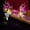 B#2, variant on Christmas Light Up Antler Headband with LED Lights & Flowers | Reindeer Costume Accessory for Women & Girls | 1 Piece Hair Band