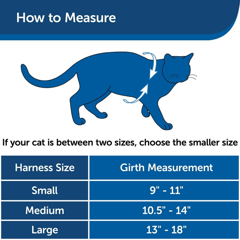 to measure a cat : r/therewasanattempt