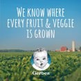 thumbnail image 6 of (Pack of 8) Gerber 1st Foods Natural Fruit & Veggie Variety Pack, 4 Oz Jars, 6 of 10