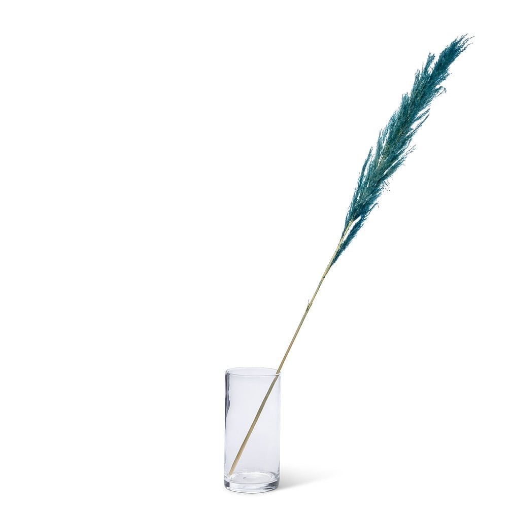 Extra Large Pampas Grass