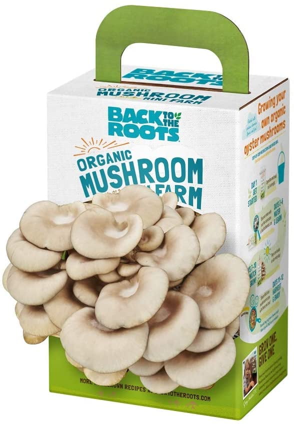 Top Gardening Gift Harvest Gourmet Oyster Mushrooms In 10 days Back to the Roots Organic Mushroom Farm Grow Kit Unique Gift Holiday Gift 