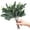 A-with White Berries, variant on HAOSHICS 20pcs Artificial Eucalyptus Leaves Stems with White Seeds Short Silver Dollar Flowers for Decoration Greenery Plants for Flower Arrangement Wedding Bouquets Decor