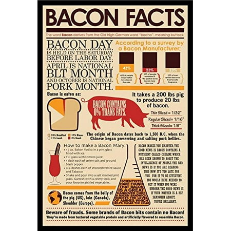 buyartforless IF AQ 241089 36x24 1.25 Black Plexi Framed Bacon Facts 36X24 Art Print Poster Wall Decor Restaurant Kitchen Man Cave Pork Buttock BLT Education Smart Pig (Best Fast Food Blt)