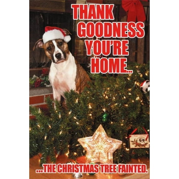 Nobleworks Tree Fainted Dog Funny Christmas Card (1 card/1 envelope)
