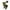 Green, variant on Dooleck Mamas Boy Baby Clothes Newborn Outfits Short Sleeve Onesies Camo Pant Set