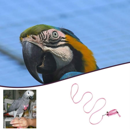 

Leash for birds parrots adjustable anti-bite multicolored light soft