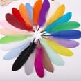 thumbnail image 5 of 25 Unids Plumas de Colores Surtidos Colores Vibrantes Suave Elegante Respetuoso del Medio Ambiente Plumas Naturales Para Artesanía DIY Decoración Invitación Adorno, 5 of 5