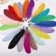 thumbnail image 4 of Plumas naturales, 25 piezas de plumas de colores, plumas variadas para manualidades, plumas de colores, diseño revolucionario, 4 of 12