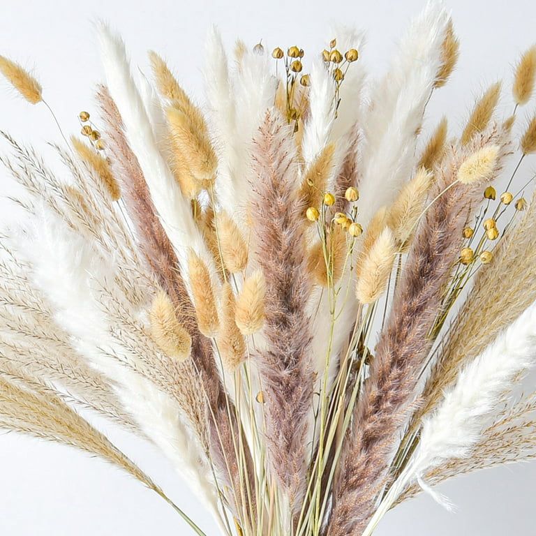 XITENG 100PCS Natural Dried Pampas Grass Bouquet 8 Various Dried Flowers  Boho Home Decor Bouquet Bunny Tails Dried Plants for Wedding Baby Shower