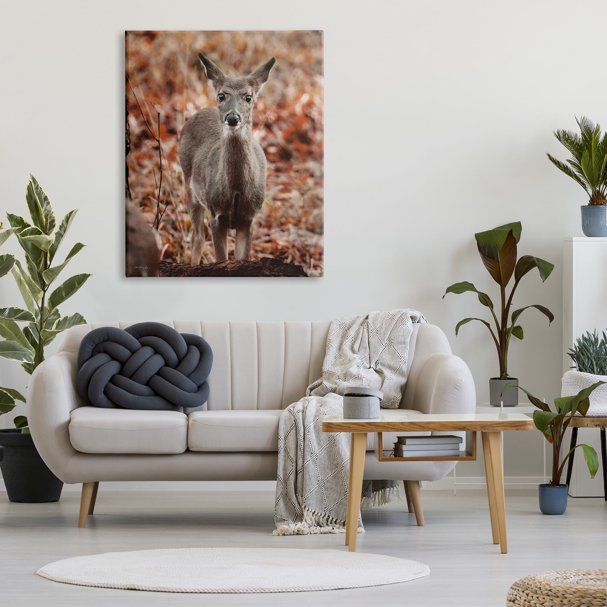 Stupell Industries Fawn in Autumn Nature Animals & Insects Photography Gallery Wrapped Canvas Print Wall Art, 36 x 48