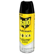 Raid Multi Insect Killer 7, Indoor & Outdoor Bug Spray, 15 oz