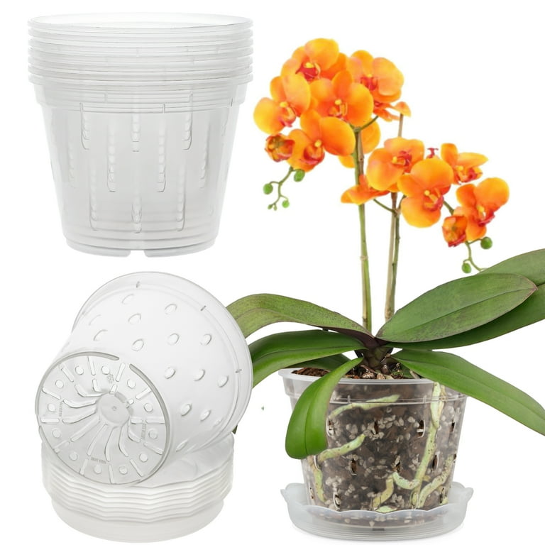 Fabulas Clear Orchid Pots with Saucers, 5.5 Inch, 8-Pack photo 1