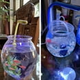 thumbnail image 5 of GRJIRAC Round Fish Bowl Plastic Bubble Bowls Clear Terrarium Multiple Sizes Home Decor, 5 of 9