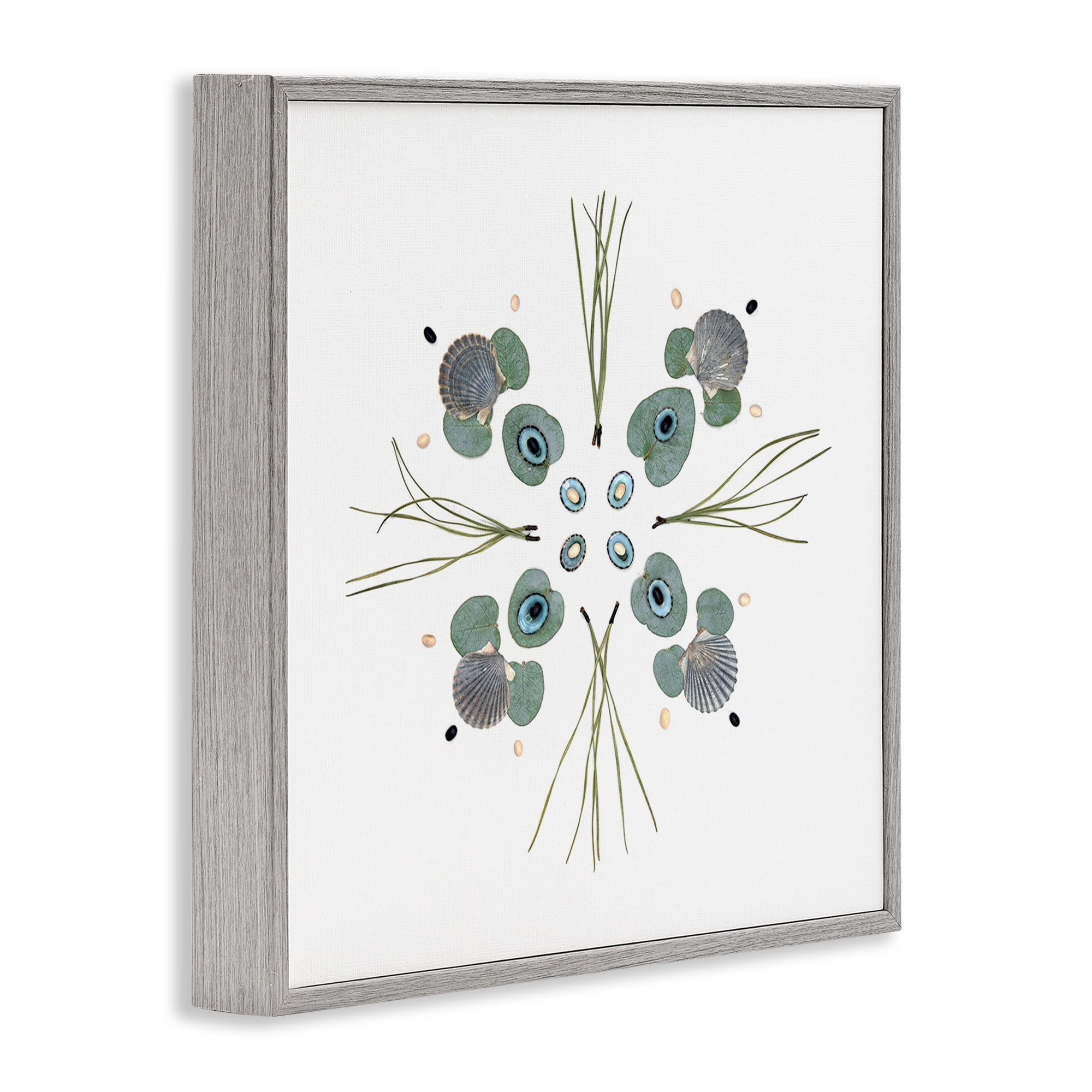 Stupell Industries Seashell & Leaf Symmetry Gray Framed Giclee Art, design by Beth Adoette