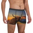 thumbnail image 4 of Salouo Yak Print Men's Boxer Briefs,Breathable Underwear Elastic Waistband Briefs for Men -X-Large, 4 of 8