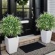 thumbnail image 5 of Estacas artificiales para jardín con tallos decorativos de follaje artificial | Plantas de interior para decoración exterior | Follaje simulado realista para patios, senderos y macizos de flores, 5 of 7
