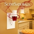 thumbnail image 2 of ScentSationals Aroma Accent Fragrance Oil, Warm Cinnamon Apple, 2 of 7