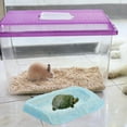 thumbnail image 1 of unbranded Para Comida Y De Reptiles De Resina Ideal Para Geckos Y, 1 of 6