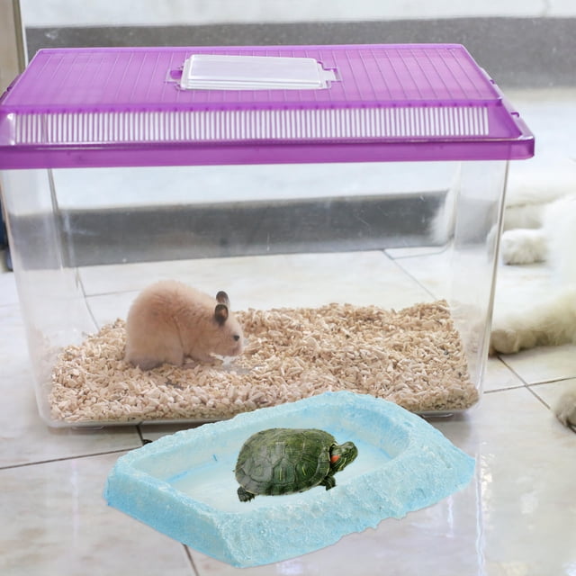 unbranded Para Comida Y De Reptiles De Resina Ideal Para Geckos Y