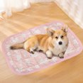 thumbnail image 1 of Tapis pour Animaux de Compagnie pour Chiens et Chats Design TPR Idéal pour une Utilisation Intérieure Durable et par Temps Chaud, 1 of 3