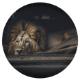 thumbnail image 3 of Lotusprinthandmade Animal Lovers Spare Tire Cover Without Backup Camera Hole, 3 of 7